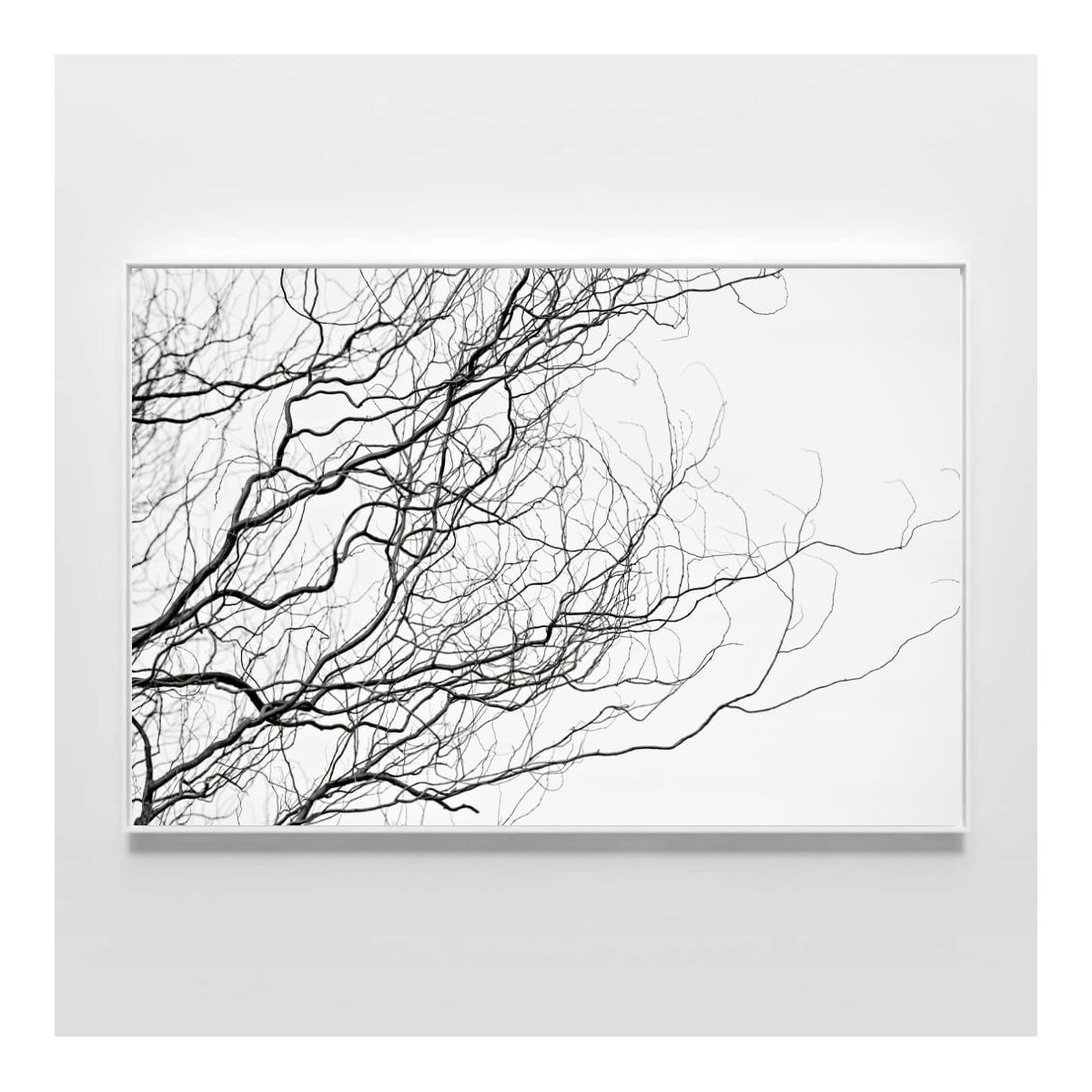 ambiente-sala-quadro-decorativo-mulheres-e-suas-poses-copia-1-copia-1-1667587043498