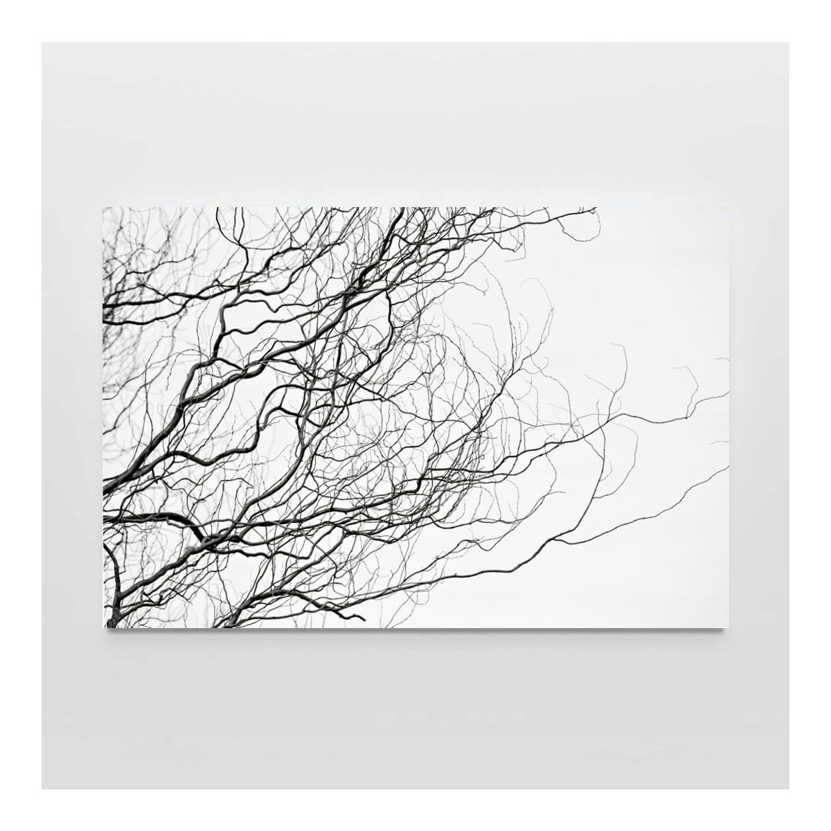 ambiente-sala-quadro-decorativo-mulheres-e-suas-poses-copia-1-copia-1-1667587048281