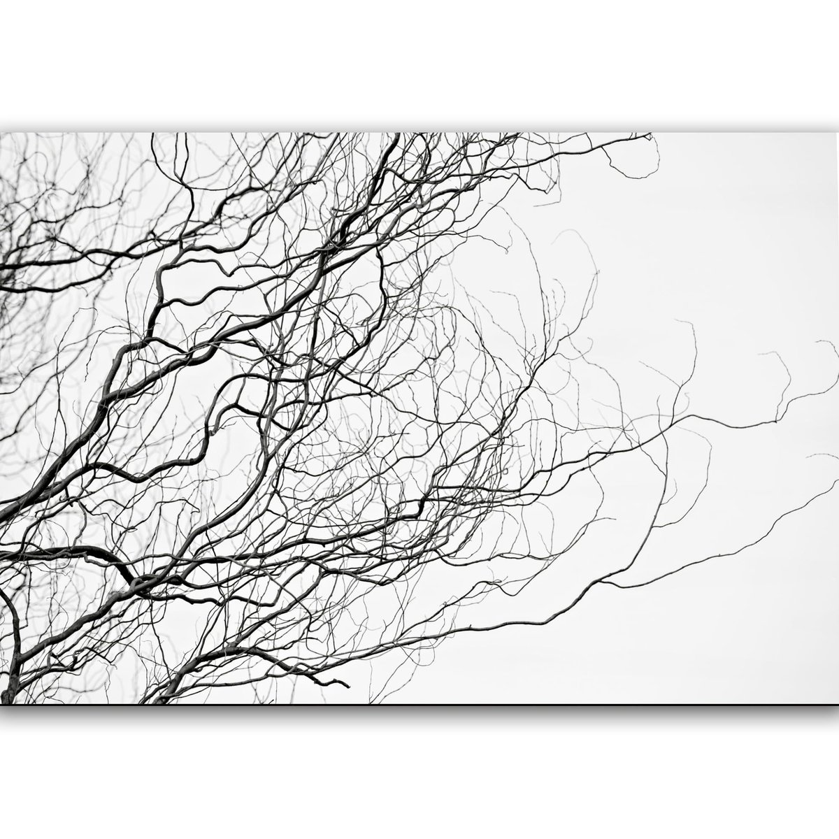 ambiente-sala-quadro-decorativo-mulheres-e-suas-poses-copia-1-copia-1-1667587049100